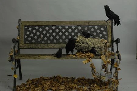 Corbeau Factice En Plumes 32 Cm 2 Corbeau Factice En Plumes 32 Cm â Image 2