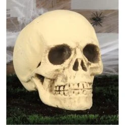 Crâne Géant