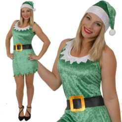 Déguisement Elfe Ou Lutin Femme Vert 5 Déguisement Elfe Ou Lutin Femme Vert -Netbootic deguisement elfe ou lutin femme velours vert 2