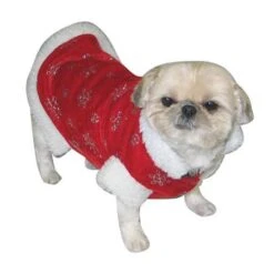 Déguisement De Noël Pour Chien