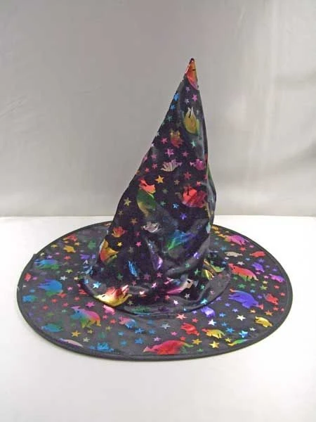 Chapeau De Sorcière Halloween Enfant 1 Chapeau De Sorcière Halloween Enfant