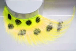 Faux Cil Abeille Jaune Et Noir