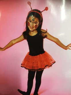 KIT Déguisement Coccinelle