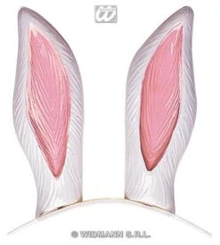 Oreilles De Lapin En Plastique