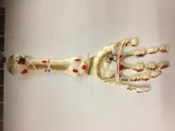 Bras Squelette 3D 65 CM