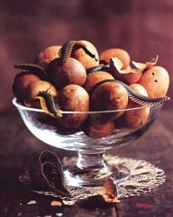 3 Sachets D'Insectes -Netbootic millepatte z