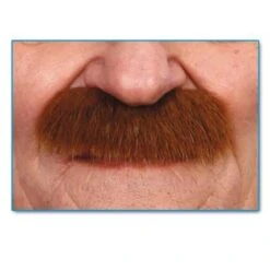 Moustache Brosse Rousse