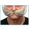 Moustaches Géantes