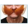 Moustaches Géantes Rousses