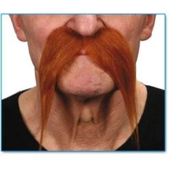 Moustache Rousse
