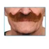Moustache Papy Rousse