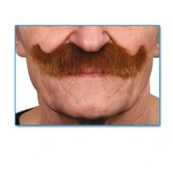 Moustache Papy Rousse