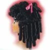 Perruque Princesse Noire