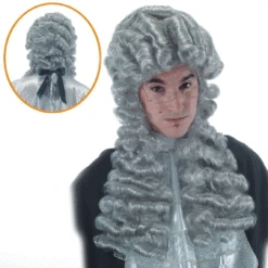 Perruque Louis XIV Luxe Argentée