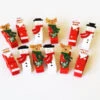 12 Pinces Thème Noel