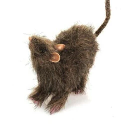 Rat En Fourrure