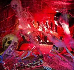 Filet D'ossements -Netbootic sac ossement 2 z