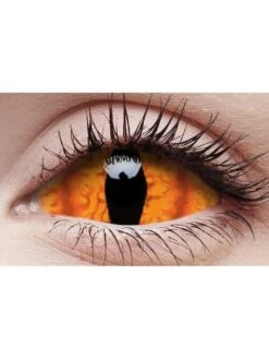 Lentilles De Contact Sclera Shadowcat