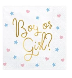 20 Serviettes En Papier Fille Ou Garçon