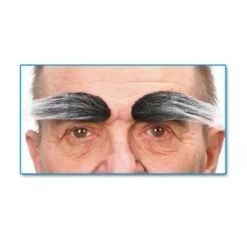 Sourcils Poivre Et Sel