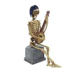 Squelette Animé Joueur De Bandjo