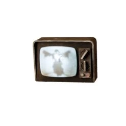 Téléviseur Hanté Animé 5 Téléviseur Hanté Animé -Netbootic televisuer vintage hante son et lumiere