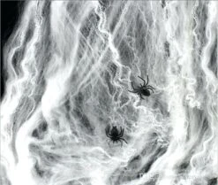 Toile D'araignée Blanche 125 G