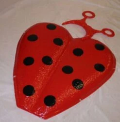 Kit De Coccinelle 2 Pièces