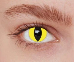 Lentilles De Contact Yellow Cat