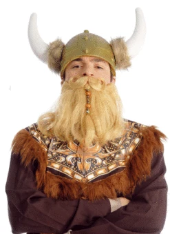 Barbe Et Moustache Viking