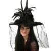 Chapeau De Sorcière Luxe Noir