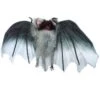 Chauve Souris Géante 70 Cm