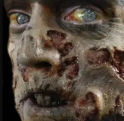 Cicatrices Fx Transferts Zombie